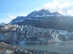 Lamplugh Glacier, Glacier Bay, Alaska