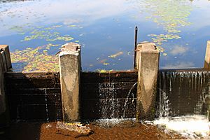 Lily Lake dam