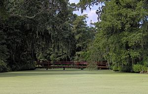 Magnolia-plantation-redbridge-sc2