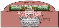 Maori earth oven