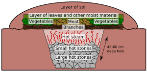 Maori earth oven