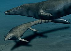 Mosasaurus BW