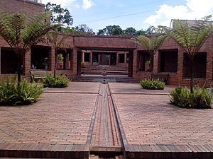 Museo del Oro Quimbaya