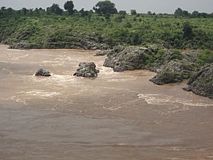 Narmada river