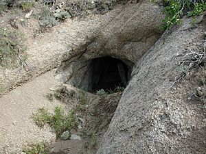 Oseola Ditch Tunnel NV NPS