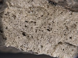 Pumice stone detail444