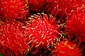 Rambutan Nephelium lappaceum Whaldener Endo