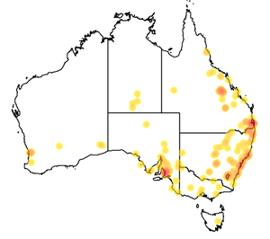 Rhytidoponera metallica occurrence map