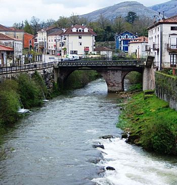 Rio Miera La Cavada.jpg