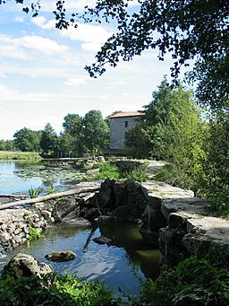 Sèvre Nantaise near Le Longeron.jpg