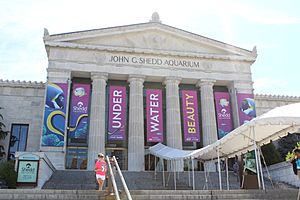 Shedd Aquarium 2018.jpg