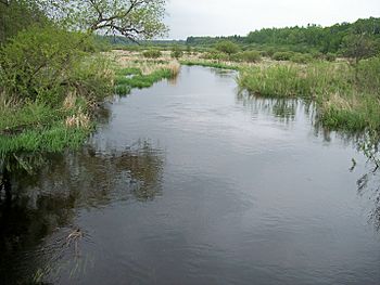 Shell River Minnesota.jpg