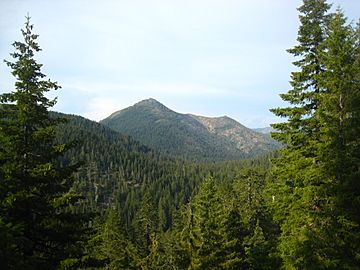 Siskiyou Mts.jpg