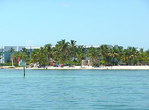 Smathers Beach closeup