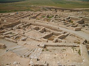 Tel Be'er Sheva Overview 2007041