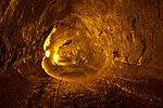 Thurston Lava Tube, Big Island