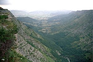 Valle delica