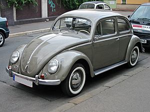 Vw kaefer ovali v sst