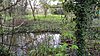 Wandle Valley Wetland