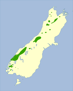 Xenicus gilviventris - distribution map.svg