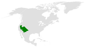 Baeolophus ridgwayi distribution map.png