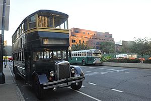 Bus Festival (10004449073)