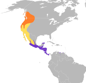 Chaetura vauxi map.svg