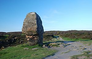 Corkstone Stanton