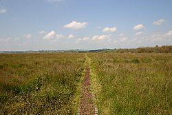 Cors Caron, Boardwalk