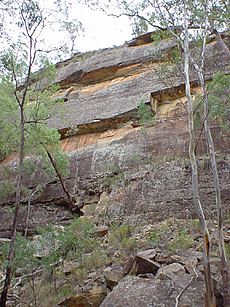 DandryCkGorge