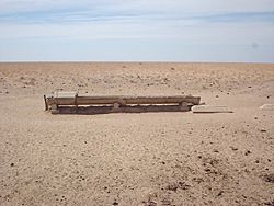 Deniliquin water trough