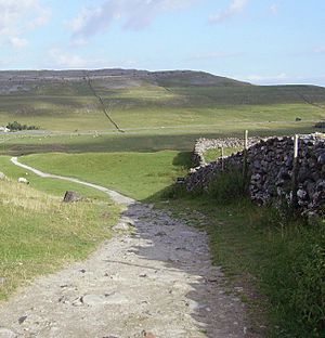 Dry stone wall 20