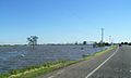 Flooding at Nelsons Plains (2007) 1