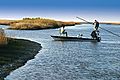 Fly Fishing in Southeast Louisiana