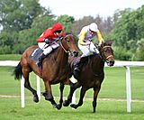 Horse-racing-4