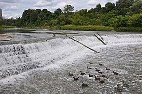 Humber Weir