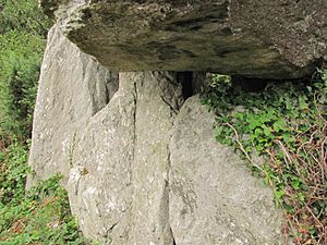 Knockeen Dolmen IMG 4724