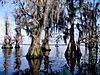 Lake Louisa State Park.jpg