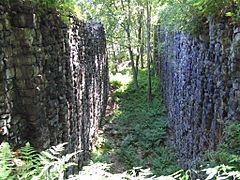 Lehigh Canal Lock 25