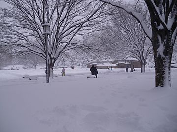 Meridian Hill Park in Snow