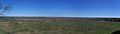 Micanopy Paynes Prairie pano01