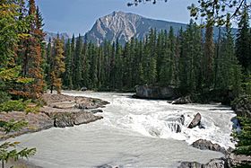 Mount Dennis in Yoho Park