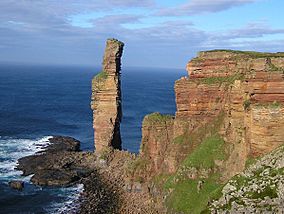 Old man of hoy2.jpg