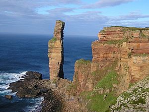 Old man of hoy2