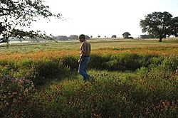 Prairie Chapel Ranch