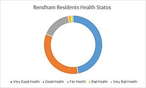 Rendham Health Status Graph