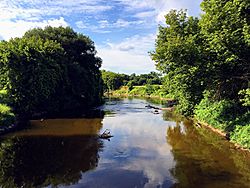 Shiawassee River 1.jpg