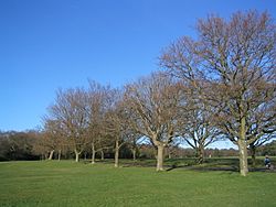 SouthamptonCommon.jpg