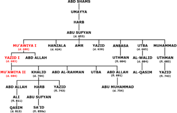 Sufyanid dynasty genealogy