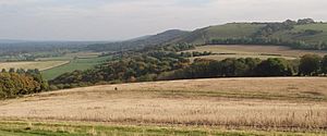 Treyford Hill South Downs